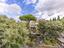 Immagine 23