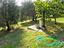 Immagine 29