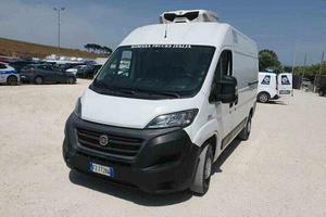 Fiat Ducato Coibentato Frigorifero Isotermico Frig