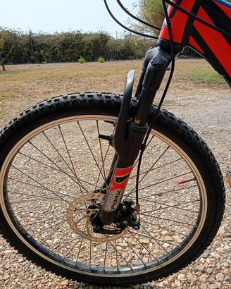 BICI BAMBINO 