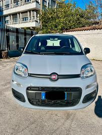 Fiat panda 2022