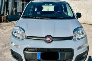 Fiat panda 2022