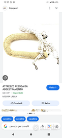 Pessoa