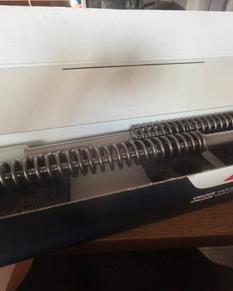 Cartucce forcella rs660 2025