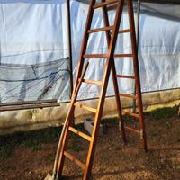 Scala legno pieghevole e anche telescopica
