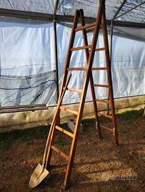 Scala legno pieghevole e anche telescopica