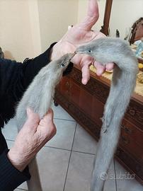 pelliccia visone canadese