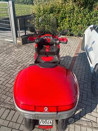 QOODER QUADRO