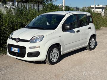 Fiat Panda 1.0 ICON Hybrid Pandina