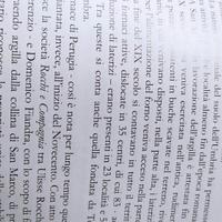 Perugia e Umbria guide  turistiche 