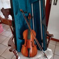 Violino