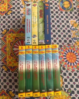 Lotto collezione cartoni vari VHS