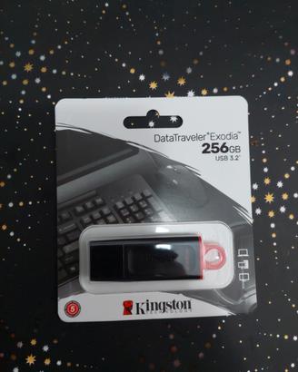 pen drive Kingston 256gb