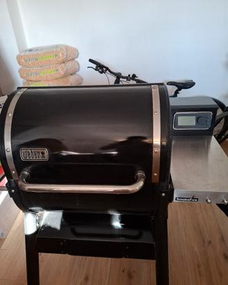  barbecue smokefire a pellets alimentare 
