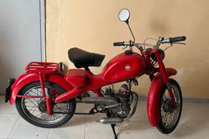 Motom 48