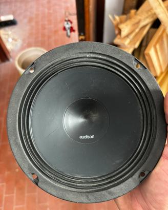 Woofer audison