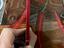 Immagine 4