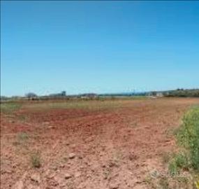 Terreno agricolo 1200 fronte strada