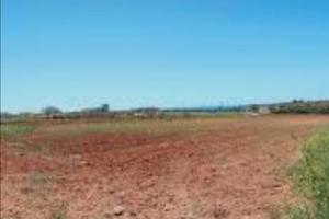 Terreno agricolo 1200 fronte strada