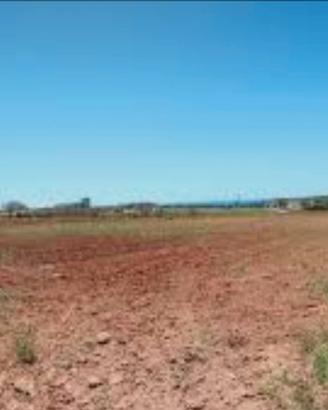 Terreno agricolo 1200 fronte strada