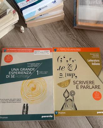 Una granfe esperienza di se-1