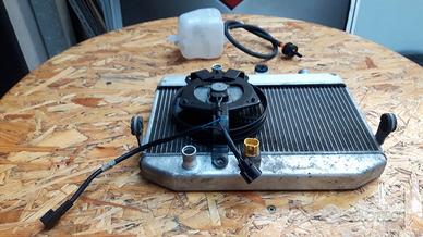 Radiatore acqua SUZUKI BURGMAN 400 K7 L6