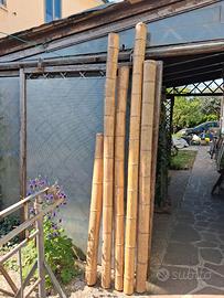 Bambu gigante  diametro 12cm  h:240cm 