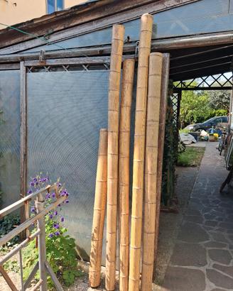 Bambu gigante  diametro 12cm  h:240cm 