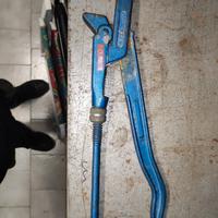 Pappagallo professionale 