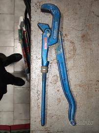 Pappagallo professionale 