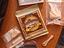 Immagine 4