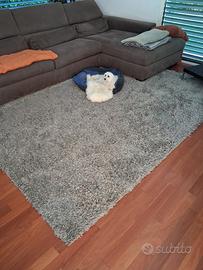 Divano poltrone e sofa