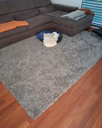 Divano poltrone e sofa