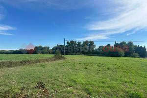 Terreno Agricolo Livorno [427/BVCG]