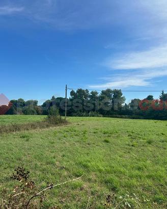 Terreno Agricolo Livorno [427/BVCG]