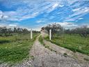 ter-agricolo-a-lucera