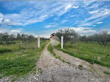 TER. AGRICOLO A LUCERA