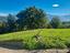 Immagine 18