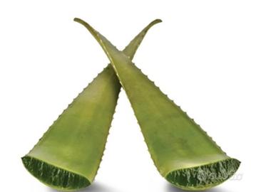 Cuscino