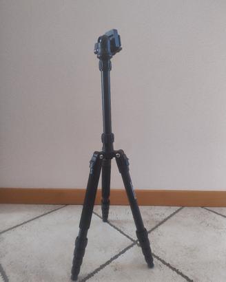 cavalletto prima photo 