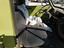 Immagine 24