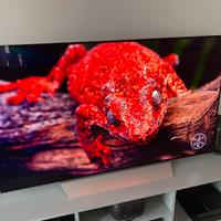 Televisione LG OLED C7 55 pollici
