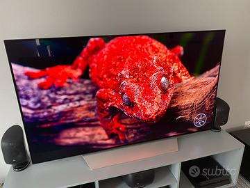 Televisione LG OLED C7 55 pollici