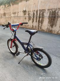 Bicicletta per bimbo
