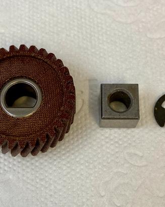 Tosatrice Heiniger Cavalli