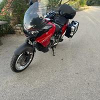 Aprilia Caponord