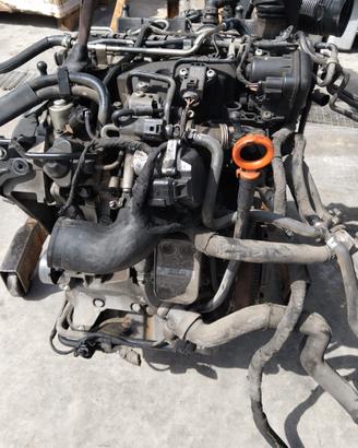 MOTORE VOLKSWAGEN