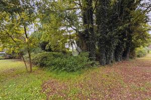 TER. RESIDENZIALE A POZZOLO FORMIGARO