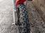 Immagine 2