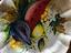 Immagine 2